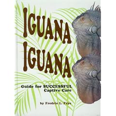 Iguana Iguana: Guide for Successful Captive Care