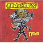 Numb by  Hammerbox 
