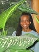 Rachel L. Bagby
