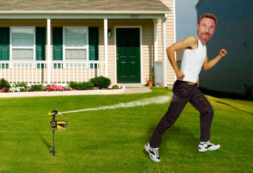 Forum Image: http://g-ecx.images-amazon.com/images/G/01/ciu/16/d0/ddca729fd7a092bafe67e010.L.jpg