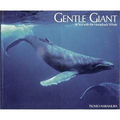 Gentle Giant Humpback Whale