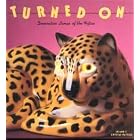 Click here to buy Turned on: Decorative Lamps of the Fifties (Recollectibles) by  Leland Payton and Crystal Payton.