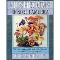 Mushrooms of North America
