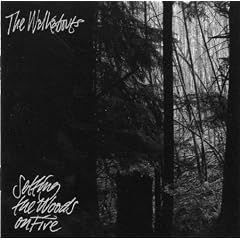Setting the Woods on Fire