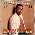Bringing the Heat by Shazam