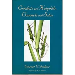 Crickets and Katydids, Concerts and Solos
