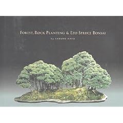 Forest, Rock Planting & Ezo Spruce Bonsai