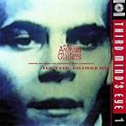 An Ambush Of Ghosts by In The Nursery (Audio CD) - Soundtrack