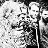 Image of Sigur Rós
