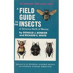 A Field Guide to Insects of America North of Mexico
