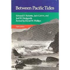 Between Pacific Tides