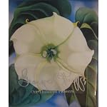 One Hundred Flowers by Georgia O'Keeffe book cover