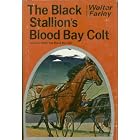 The Black Stallion's Blood Bay Colt (Black Stallion Stories, 6) by  Walter Farley