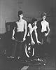 Stray Cats