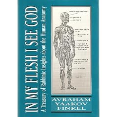 In My Flesh I See God: A Treasury of Rabbinic Insights About the Human Anatomy