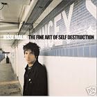 Click here to buy Fine Art of Self-Destruction by Jesse Malin .