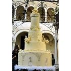 Monumental Desserts (Monumenta): 230 Recipes for LARGE Desserts! by  Iginio Massari and Luigi Biasetto