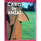 CARO BY ANZAI (Anthony Caro By Shigeo Anzai) by Shigeo Anzai