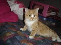Image of Elmore Hammes