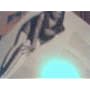I Am...Sasha Fierce (Deluxe Edition) ~ Beyonce