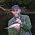 Thumbnail image of Pat Regan
