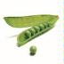 A Pod Peep