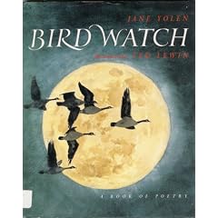 Bird Watch