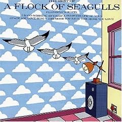 Best of A Flock of Seagulls