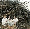 Bowerbirds