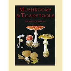 Mushrooms & Toadstools