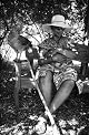 Alice Walker