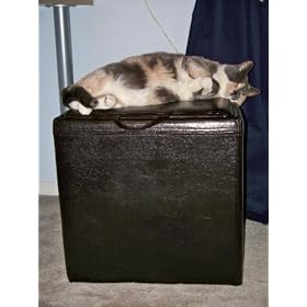 Global Distinctions Buy-One-Get-One-Free Ottoman Set