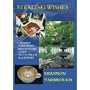 Stealing Wishes by Shannon Yarbrough