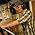 Thumbnail image of Paul Siegell