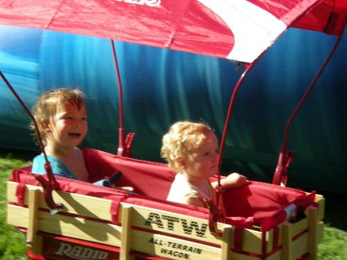 Radio Flyer Wagon Canopy, Radio Flyer, Wagon Canopy