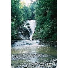 Beyond Buffalo!: A Photographic Journey and Guide to the Secret Natural Wonders of Our Region