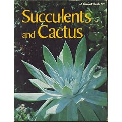 Succulents and Cactus