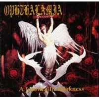 Journey in Darkness