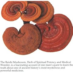Reishi Mushroom: Herb of Spiritual Potency and Medical Wonder