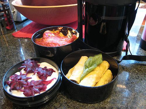 Zojirushi Classic Bento Vacuum Lunch Jar
