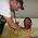 Thumbnail image of Roy M. Wallack