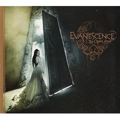 Evanescence - The Open Door Cover Download