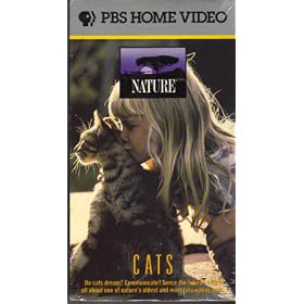 Buy Cats now!