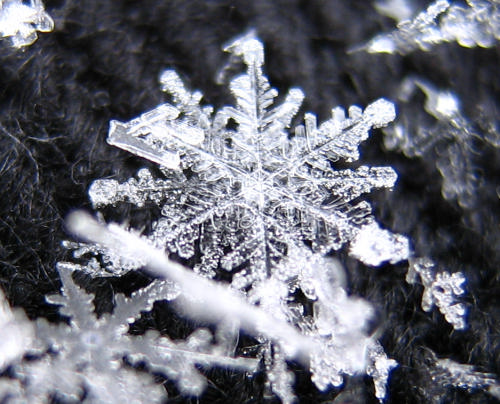 Amazon.com : Canon Powershot A410 3.2MP 