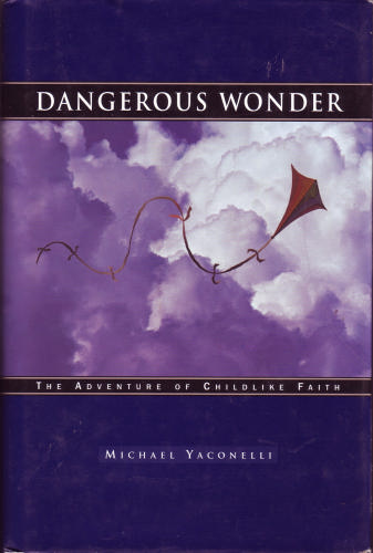 Dangerous Wonder Picture