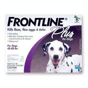 Save 50% on Frontline Flea and Tick Protection for your Pet!