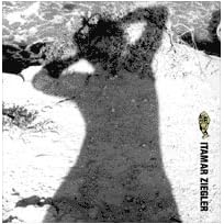 Itamar Ziegler by  Itamar Ziegler 