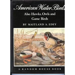 American water birds,: Also, hawks, owls and game birds, by Maitland Armstrong Edey