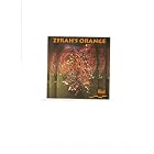 Mind by  Zyrah's Orange 