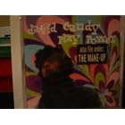 Play Power by David Candy